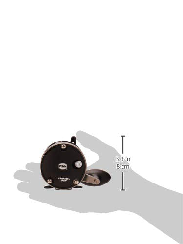 Load image into Gallery viewer, Warfare Star Drag Level Wind Conventional Reel 20
