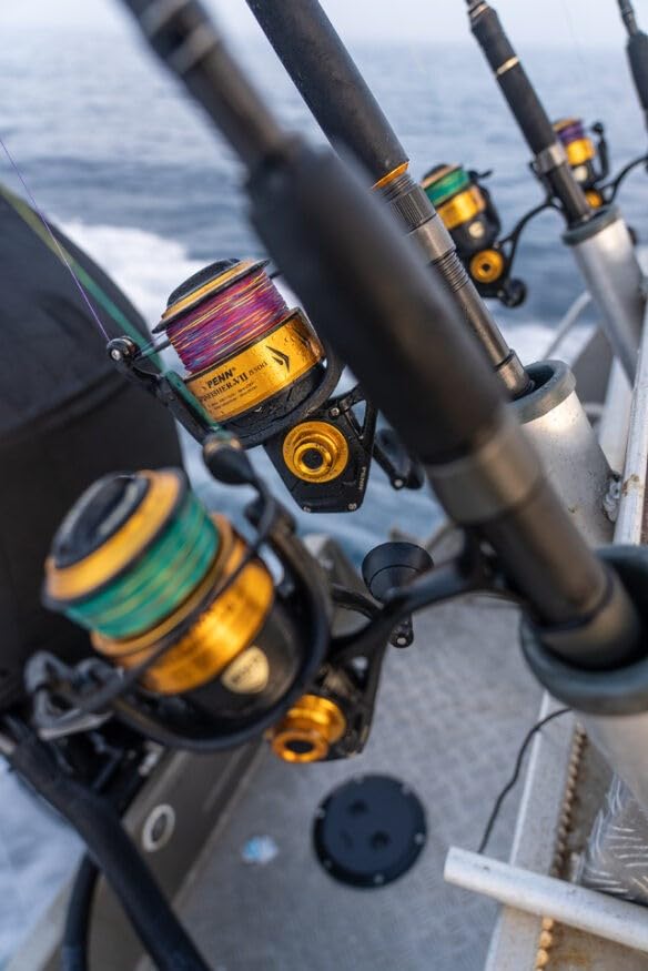 Load image into Gallery viewer, Spinfisher® VII Spinning Reel