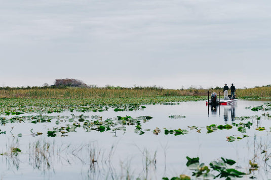 Abu Garcia Zata Spinning Fishing Reel, Green