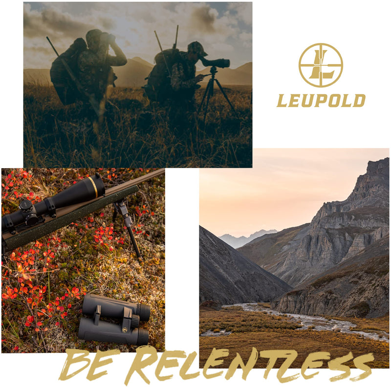 Load image into Gallery viewer, Leupold BX-2 Alpine HD Binoculars, 8x42mm (181176)