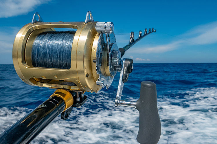 Saltwater Fishing 101: Tips and Tricks for a Successful Trip